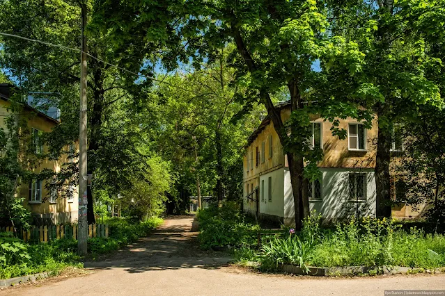 Двухэтажные дома среди высоких деревьев
