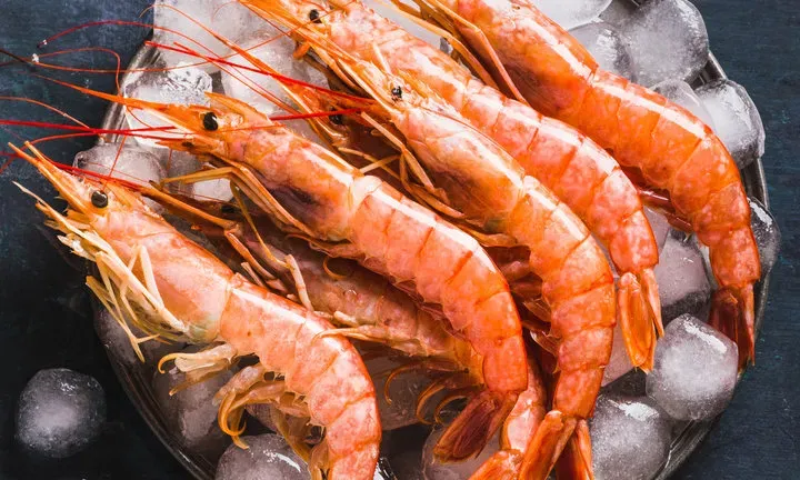 jantung otak udang berada di kepalanya