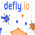 DEFLY.IO