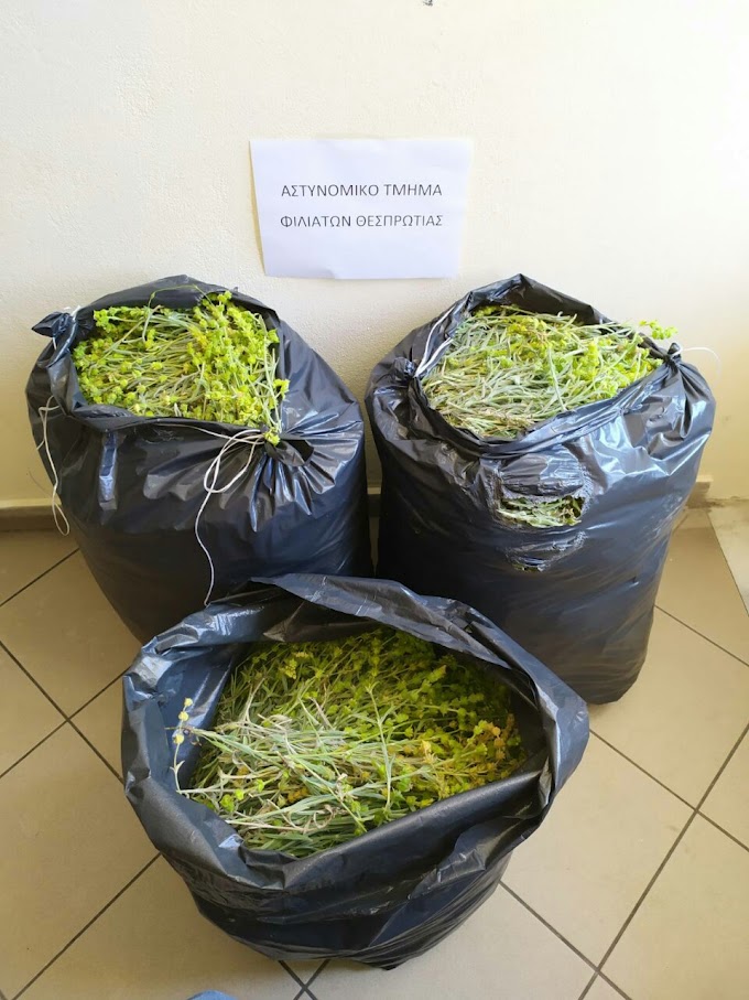Συνελήφθησαν δύο αλλοδαποί για παράνομη κοπή ποσοτήτων αρωματικών φυτών στην περιοχή της Μουργκάνας Φιλιατών Θεσπρωτίας
