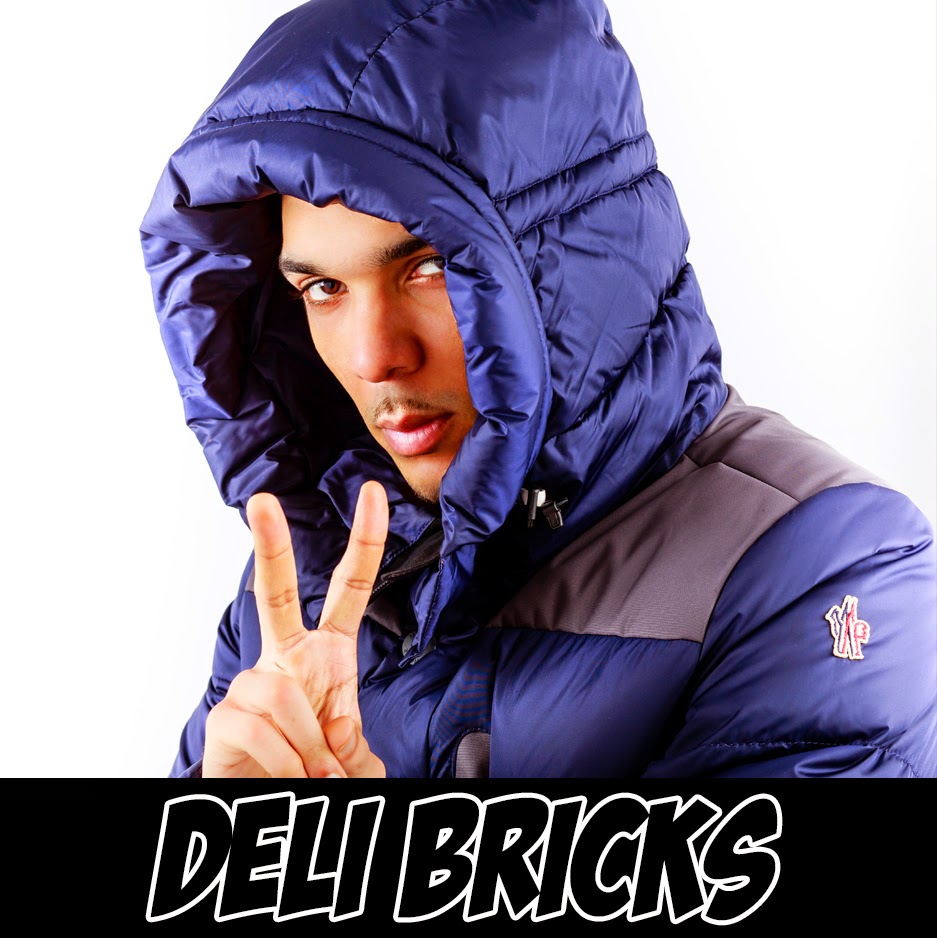 Image result for Deli Bricks - I Just Wanna Know