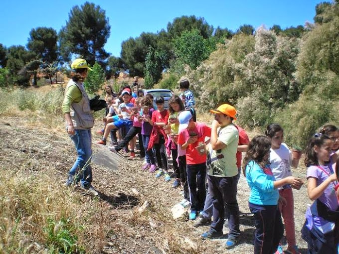 Ayuntamiento De Guadix Jardin Botanico