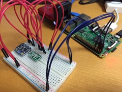 raspi