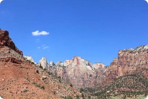 Zion  National Park 090