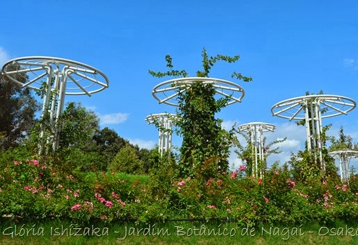 71 - Glória Ishizaka - Jardim Botânico Nagai - Osaka