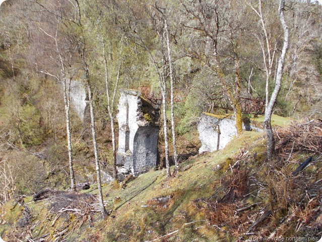 tgo2013 057