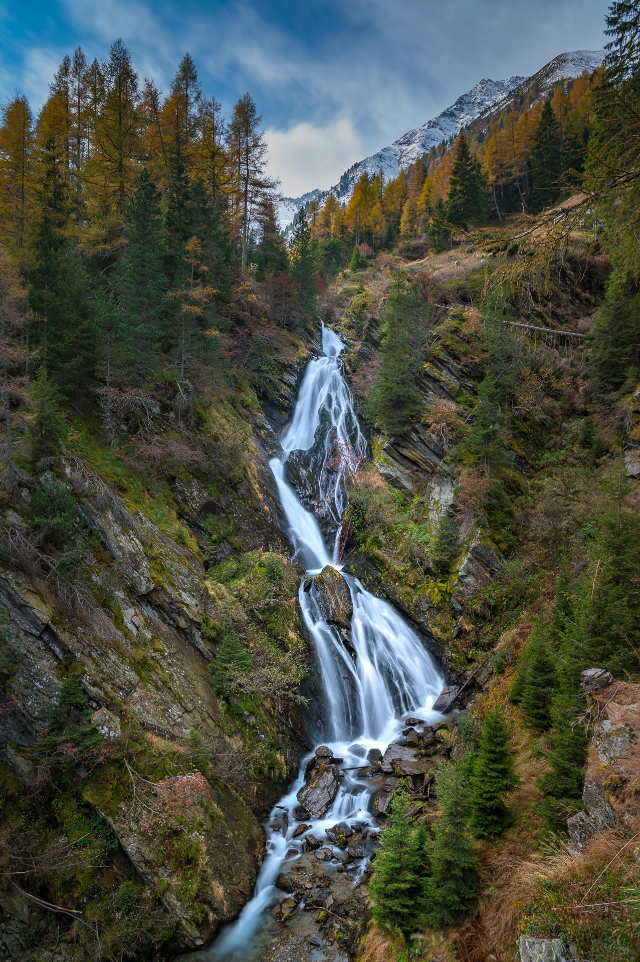 foliage alto adige