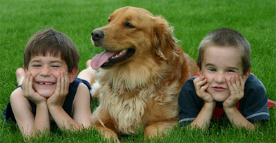 the-best-dog-breeds-for-young-children