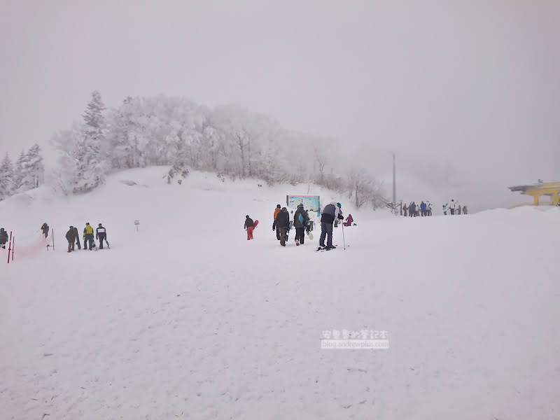 安比高原滑雪場,安比高原,日本滑雪