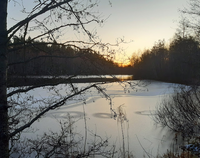 lingonberryhouse, winter, talvi, aurinko, sun, ice, sunrise, sunset, jää, maisema, landscape