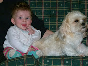 BABY, PUPPIES, DINNER OUT
