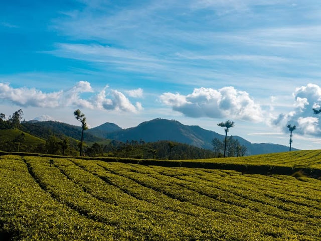 Coonoor Hill Station