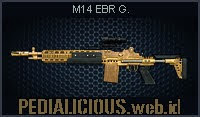 M14 EBR G.