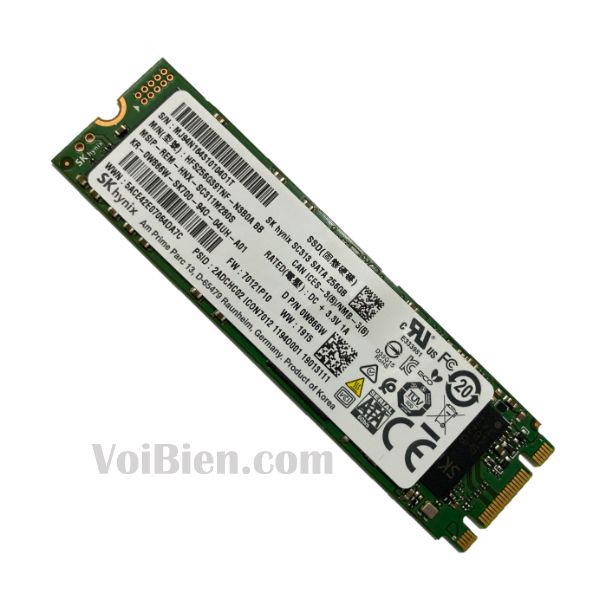 Ổ Cứng SSD Giá Tốt