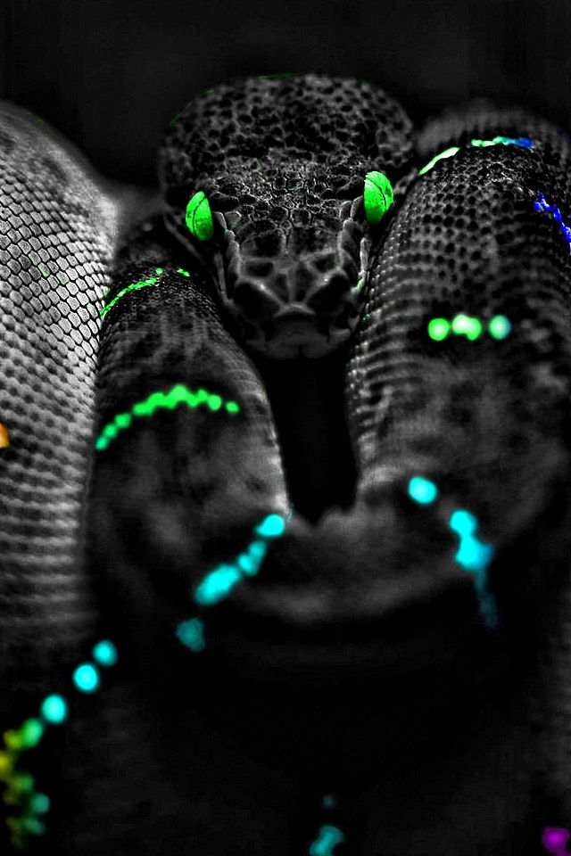 snake-eyes