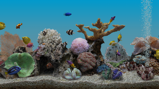 MARINE AQUARIUM