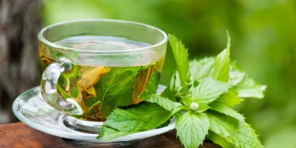 ग्रीन टी बनाना सीखें - Green Tea Kaise Banaye