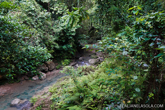 Cebu | Treehouse de Valentine, Balamban