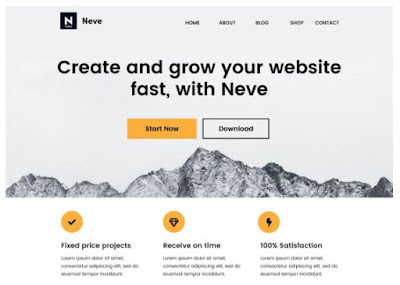 Neve WP Theme