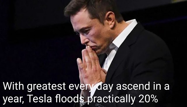 With greatest every day ascend in a year, Tesla floods practically 20%