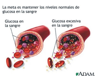 diabetes celulas madre