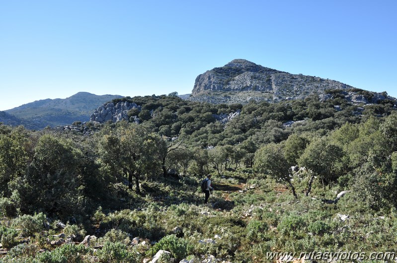 Subida a la Salamadre desde Villaluenga