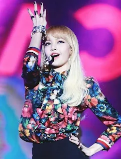 Ulang Tahun Lisa Blackpink