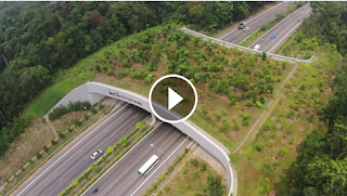 This ecological bridge allows animals to pass over a busy highway