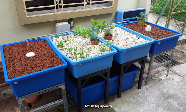 Affnan's Aquaponics: 4th Growbed Done - That's The Limit ...