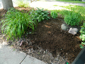 Little Italy Toronto Front Garden Clean up after by Paul Jung Gardening Services