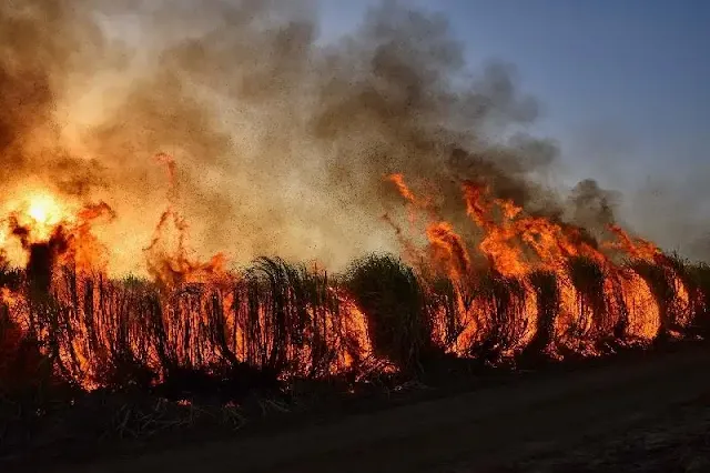 Los incendios forestales son una megafuente de emisiones de metano, según estudio de la Universidad de California