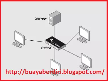 Fungsi dari switch, jenis -jenis jaringan switch dan cara kerjanya