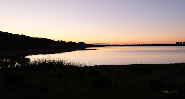 Pantano.Cogollos