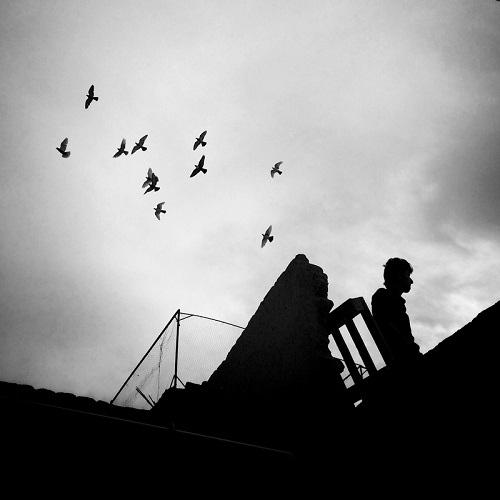 Foto por Ako Salemi - Pigeon keeper - Birjand - serie "Iran from my Phone" | imagenes bellas tristes | black and white streetphotography inspiration | photos