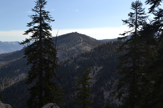 spires of rock emerging from trees and quite a lot of trees