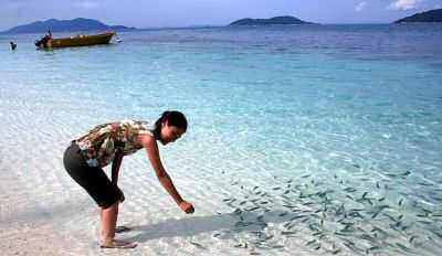 Feeding the coral fisches at the beach of Rawa Island