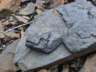 Carbón de Juarros sobre una roca de pizarra