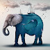 Sea Elephant Photoshop Manipulation