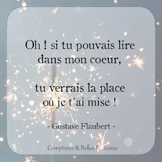 Oh ! si tu pouvais lire dans mon coeur, tu verrai la place où je t'ai mise ! (Gustave Flaubert) - Citation de livre pour enfant par Comptines et Belles Histoires