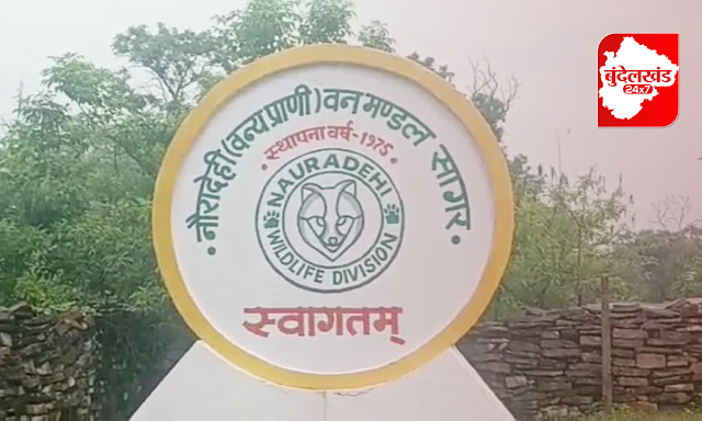Bundelkhand news, tiger reserve, naradohi tige reserve, sagar, bundelkhand 24x7