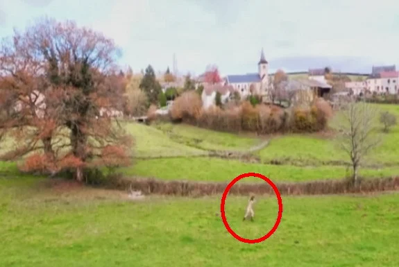 A naked Doria Tillier is seen running around a lush green field wearing just her boots and socks