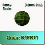 R1FR11 copy