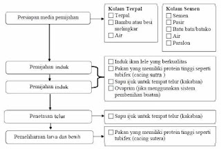 Alat dan Bahan Pendukung Produksi Pembenihan Ikan Lele