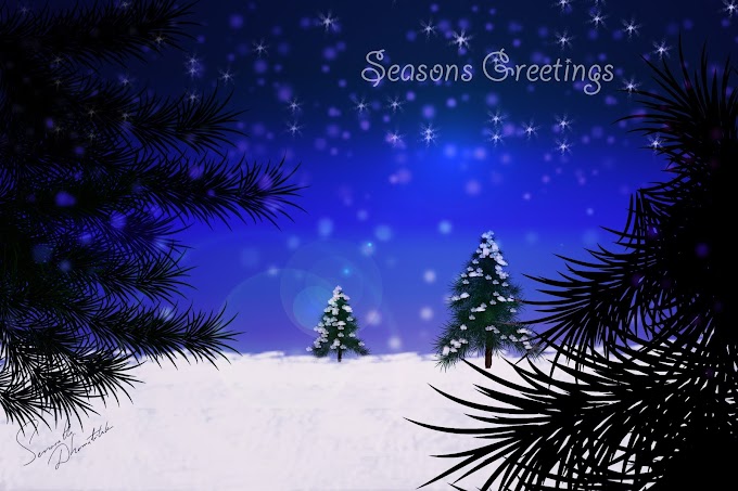 Season's Greetings - Merry Christmas
