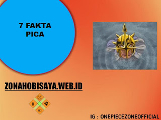 7 Fakta Pica One Piece, Seorang Ellite Officer Bajak Laut Donquixote