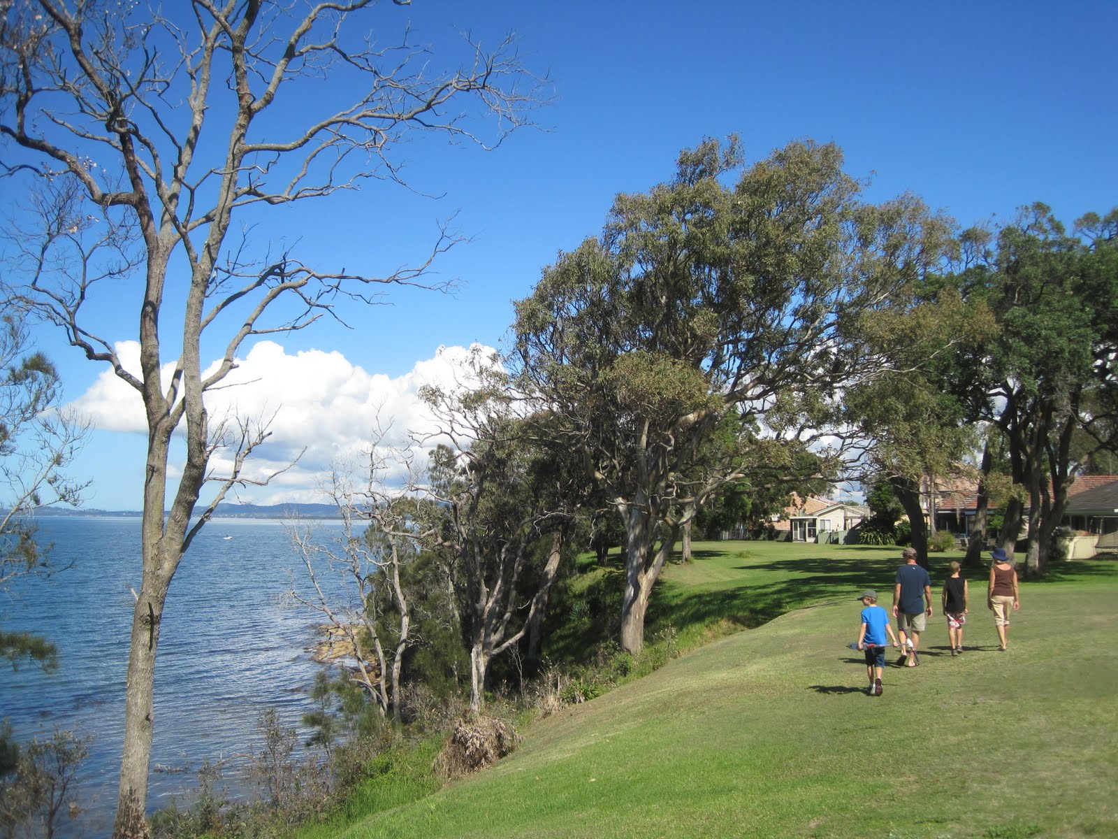 Tuggerah+lakes+batteries