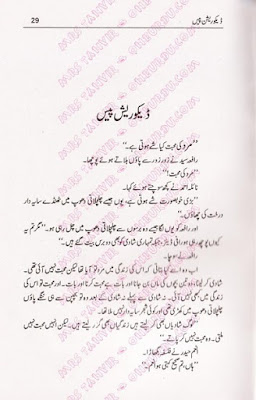 Decoration piece novel by Nighat Seema.