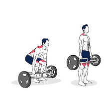 hex bar deadlift instead of rack pull