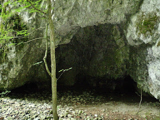 Woods around the Caves of Moravian Karst, Czech Republic