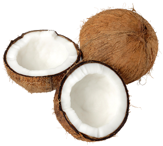 Coconut